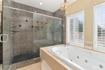 Double jetted tub and double shower.