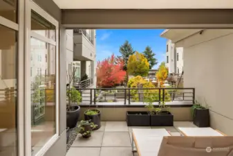 Expansive, Partially-covered, Courtyard-View Deck Faces South