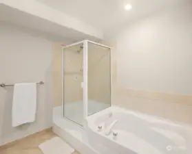 Primary Soaking Tub and Shower