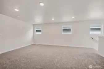 example media room