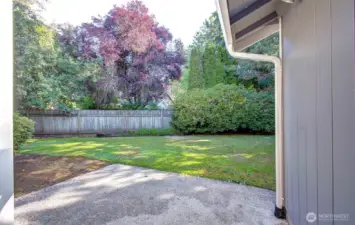 Back Patio