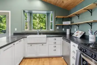 Propane stove and farmhouse sink