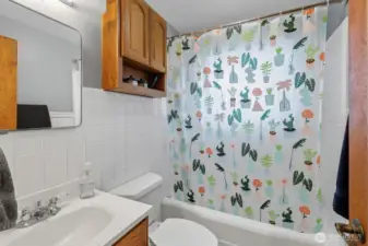 Full-size bathroom with built-in storage behind mirror.