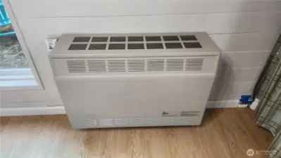 Natural gas heater