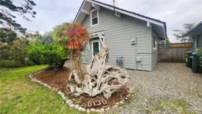 Unique driftwood sculpture
