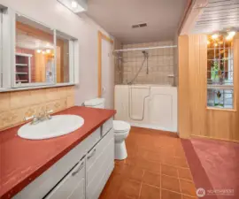 Lower level bathroom w/shower & walk in tub.