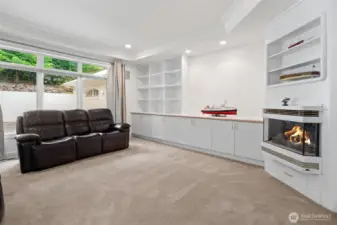 Another view of the media room