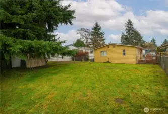 Large fenced backyard
