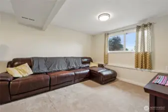 Family Room Lower Level