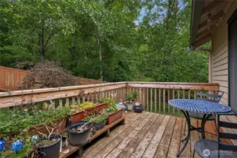 Enjoy the deck & backyard