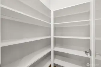 Walk-in pantry with solid shelving and frosted glass door.