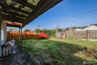 Back yard, second angle