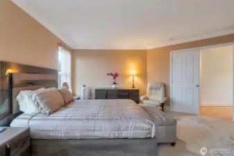 Master bedroom with french door