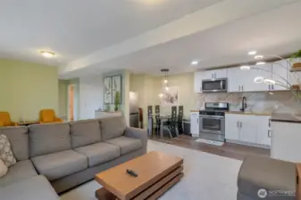 Living room (lower level)