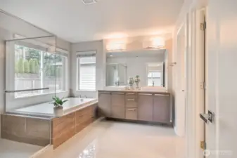 Primary bath and large walk-in closet