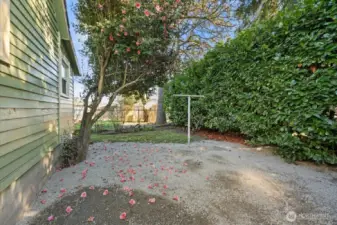 Private backyard for entertaining