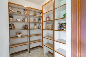 The walk-in pantry perfect for your culinary adventures!