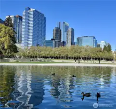 Even the ducks love it!