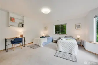 Another angle of the spacious lower level bedroom