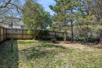 Large backyard