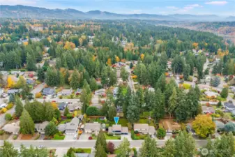 The neighborhood of Maplewood Heights is graced with tall firs, gorgeous coniferous trees, and lovely, well-maintained streets.