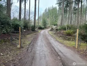 Driveway up to home.