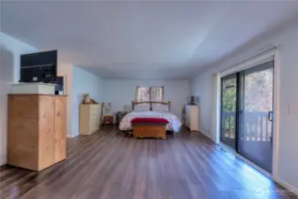 Check out the impressive size of this primary bedroom ~ inviting and full of possibilities for a true retreat.