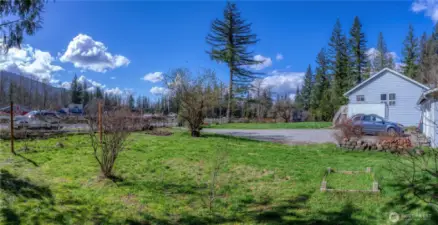 2.45 acres fully fenced!  Fruit trees, blueberries, raspberries, perennials and mature shrubs.