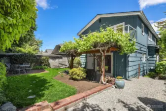 Back of property with vine covered patio