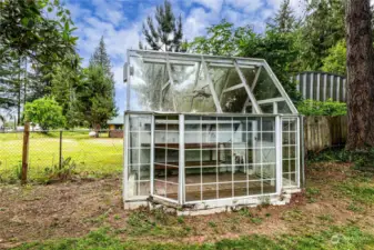 Backyard/Greenhouse
