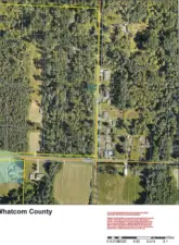 Aerial of suspected wetlands in the area with property not showing any suspected critical areas but still requiring a wetlands survey for permitting. Property is a corner lot directly across from home at 74 Harvey Road.