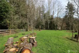 Large Yard