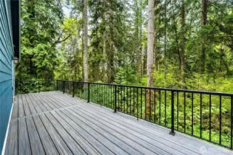 Deck off kitchen puts you right into nature.