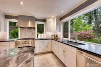 Let the sun shine in! Look at those beautiful granite counters and the stunning Bardiglio marble island.