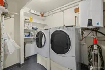 Tankless High Efficient Water Heater - this thing was rated for a home twice as big as this.