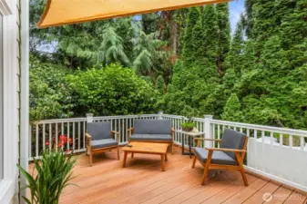 Beautiful greenery surrounds you.