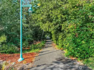 Trail directly behind condo leads into the heart of Kirkland