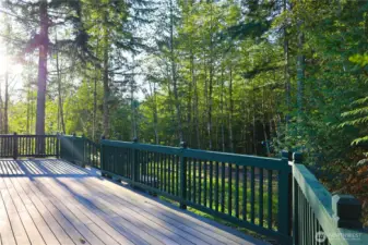 Back deck