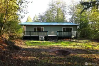 Back yard