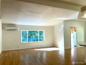 Living room, mini split system