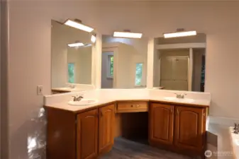 Master bathroom