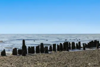 Rustic coastal elements and gentle waves add charm to the serene beachfront just minutes from home.