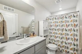 Lower Level Full Bath