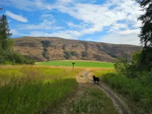 Radar Creek Trail near property. Hike, dog walk, snowshoe, mtb, trail run