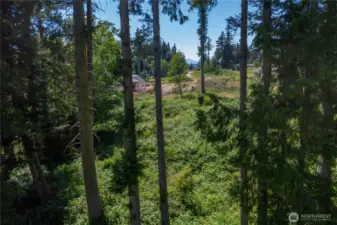 Some clearing done - beautiful light filled property from which to choose the best building site.  Possible second story Mountain and Canal views.
