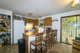 Kitchen - view from dining room