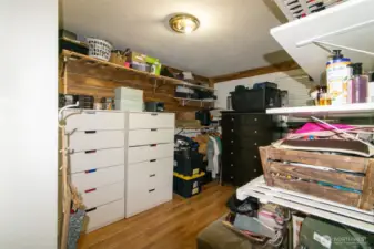 Storage area off room downstairs