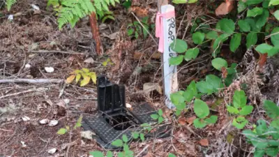 Water meter with property marker