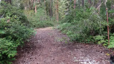 Driveway going into the property. Notice the marker poll on right side of picture and the water meter.