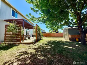 backyard with pergola and patio